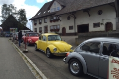 Black Forest VW Bug tour
